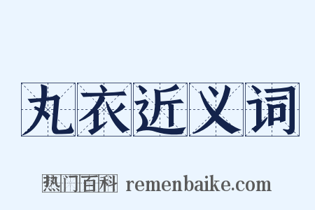 丸衣近义词是什么意思的图片